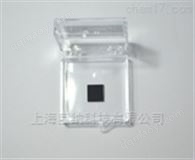 二硫化钨/氮化硼 WS2/hBN异质结