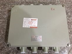 粉尘防爆接线箱