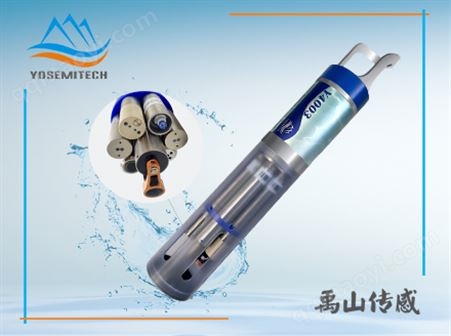 Y4003在线深水多参数传感器