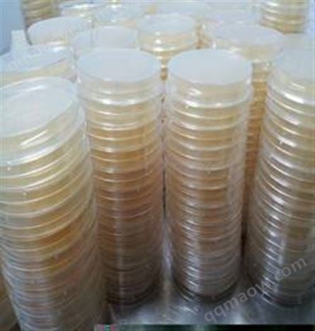 現貨大腸桿菌甘油保存
